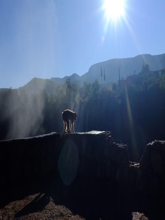 Riad Cascades D'Ouzoud Luaran gambar