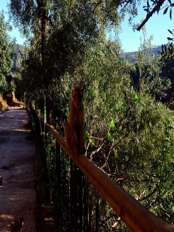 Riad Cascades D'Ouzoud Luaran gambar